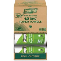 Paper Towel-2 ply/12 Rolls/Ctn