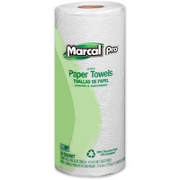 Paper Towel-2 ply/15 rolls/Ctn