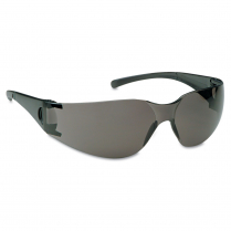 Glasses- Safety BK/Fram SK/Len