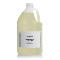 Soapbox Sea Minerals Shampoo Bulk Gallon Refill (4/Case)