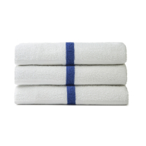 Premium Terry Hand Towel