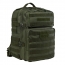 Assault Backpack/Green