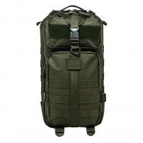 Small BackPack/Grn