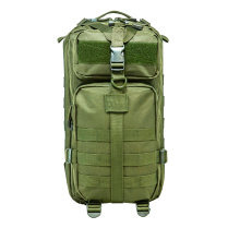 Small BackPack/Grn