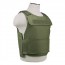 Discrt Plt Carrier/MED-2XL/Grn