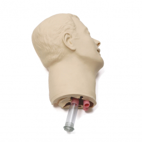 Laerdal® Replacement Headskin and Airways with Teeth for Airway Management Trainer
