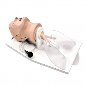 Life/form® Airway Larry Adult Airway Management Trainer with Stand