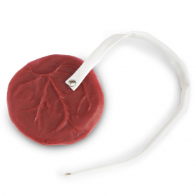Simulaids® Placenta with Cord for OB Manikin