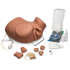 Gaumard® ZACK™ Multipurpose Male Care Simulator