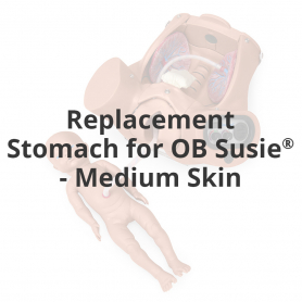Gaumard® Replacement Stomach for OB Susie® - Medium Skin