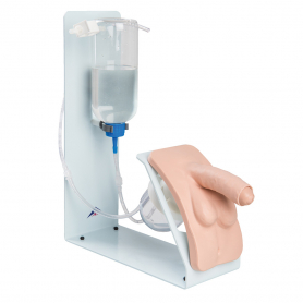 3B Scientific® Male Catheterization Simulator, Basic