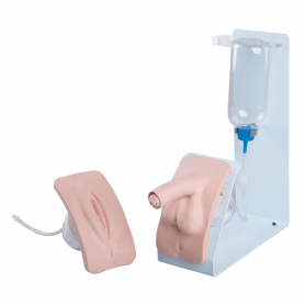 3B Scientific® Catheterization Simulator Set, Basic