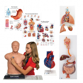 Cardionics Intro to Auscultation Kit