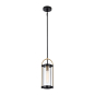 BONITA  SINGLE LIGHT PENDANT