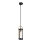 BONITA  SINGLE LIGHT PENDANT