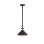 DAHLIA 1LT. BLACK PENDANT