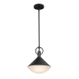 ABRUZZO SINGLE LIGHT PENDANT