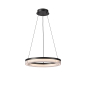 ARI COLLECTION LED PENDANT