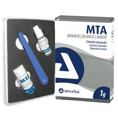 MTA Root Canal Cement Kit 1gm - Product Details