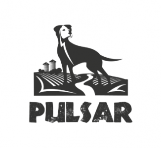 Horizon Pulsar