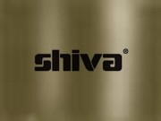 Shiva Paintstik Irid. Brown