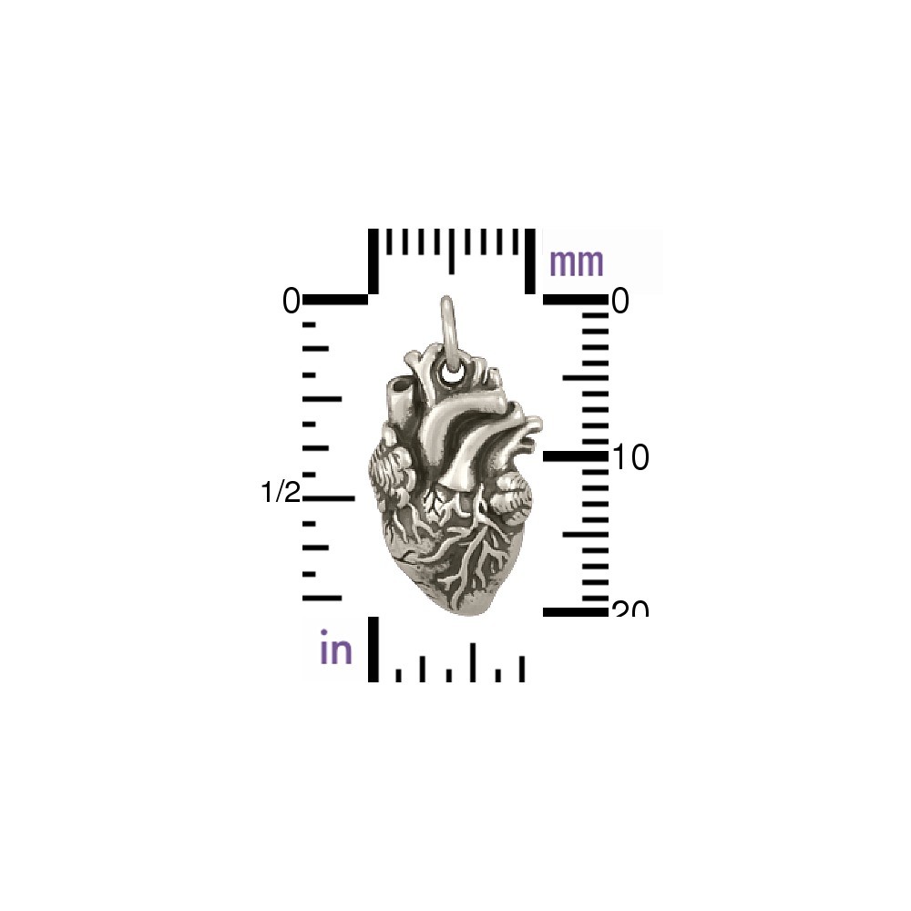 Sterling Silver Anatomical Heart Charm 21x10mm