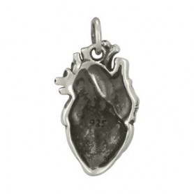 Sterling Silver Anatomical Heart Charm 21x10mm