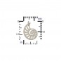 Sterling Silver Nautilus Charm - Openwork 19x12mm