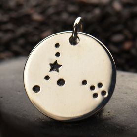 Sterling Silver Zodiac Charms - Constellation Pisces 18x15mm