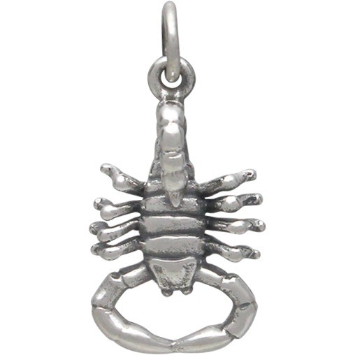 Sterling Silver Realistic Scorpion Charm 22x10mm