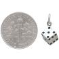 Sterling Silver 3D Dice Charm with Dime