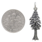 Sterling Silver Dimensional Pine Tree Pendant with Dime