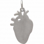 Sterling Silver Etched Anatomical Heart Charm