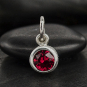 Sterling Silver Crystal Birthstone Charm - July 11x5mm