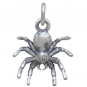 Sterling Silver Spider Charm