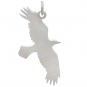 Silver Raven Charm with Bronze Star and Moon 26x16mm