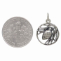 Sterling Silver Pineneedle and Pinecone Charm with Dime