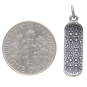 Sterling Silver Skateboard Charm with Dime