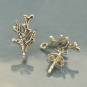 Silver Stud Earring - Coral Branch with Loop 14x7mm