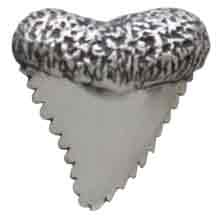 Sterling Silver Shark Tooth Post Earrings 9x8mm