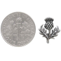 Sterling Silver Dimensional Thistle Post Earrings with Dime