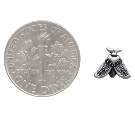 Sterling Silver Moth Post Earrings with Dime