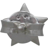Sterling Silver Star Post Earrings 6x6mm