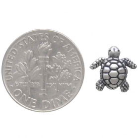 Sterling Silver Turtle Post Earrings