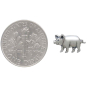 Sterling Silver Piggie Post Earrings with Dime