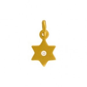 Gold Charms - Star of David with 24K Gold Plate 14x7mm