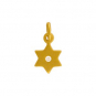 Gold Charms - Star of David with 24K Gold Plate 14x7mm