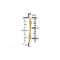 Hammered Bar Link in 24K Gold Plate 24x1mm ruler