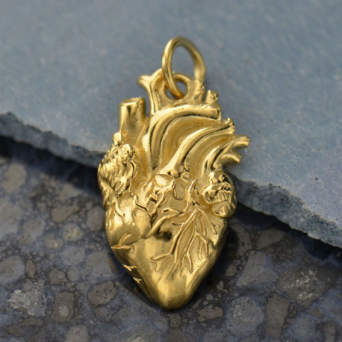 Gold Charm - Anatomical Heart with 14K Gold Plate 21x10mm