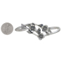 Sterling Silver Dogwood Flower Bracelet with Dime